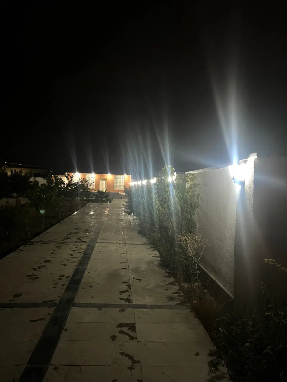 باغچه باغ