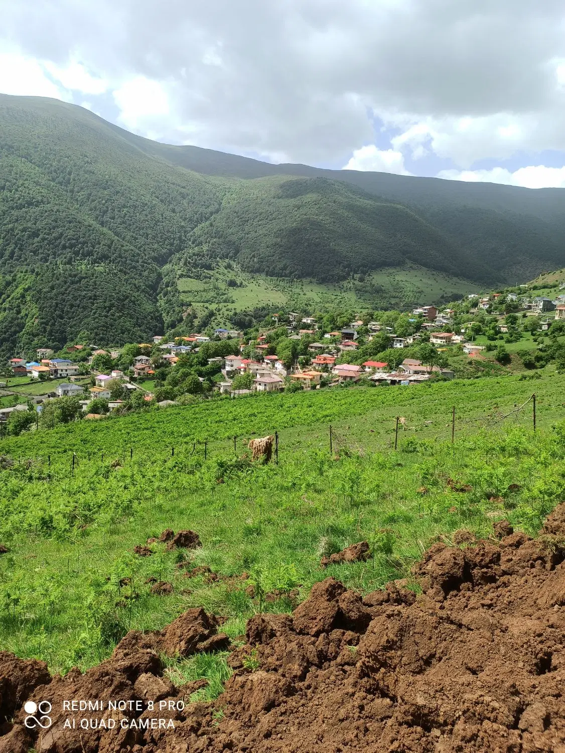 فروش زمین  در فشکور -فرصت طلایی برای سرمایه گذاری