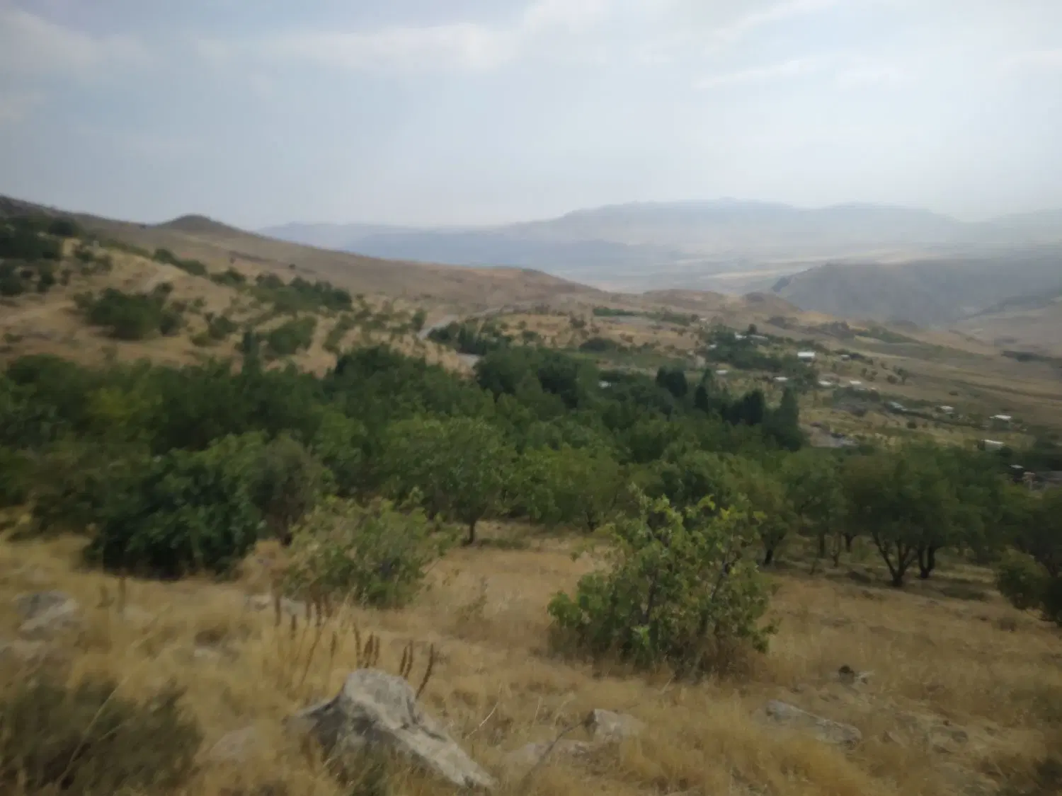 فروش باغ