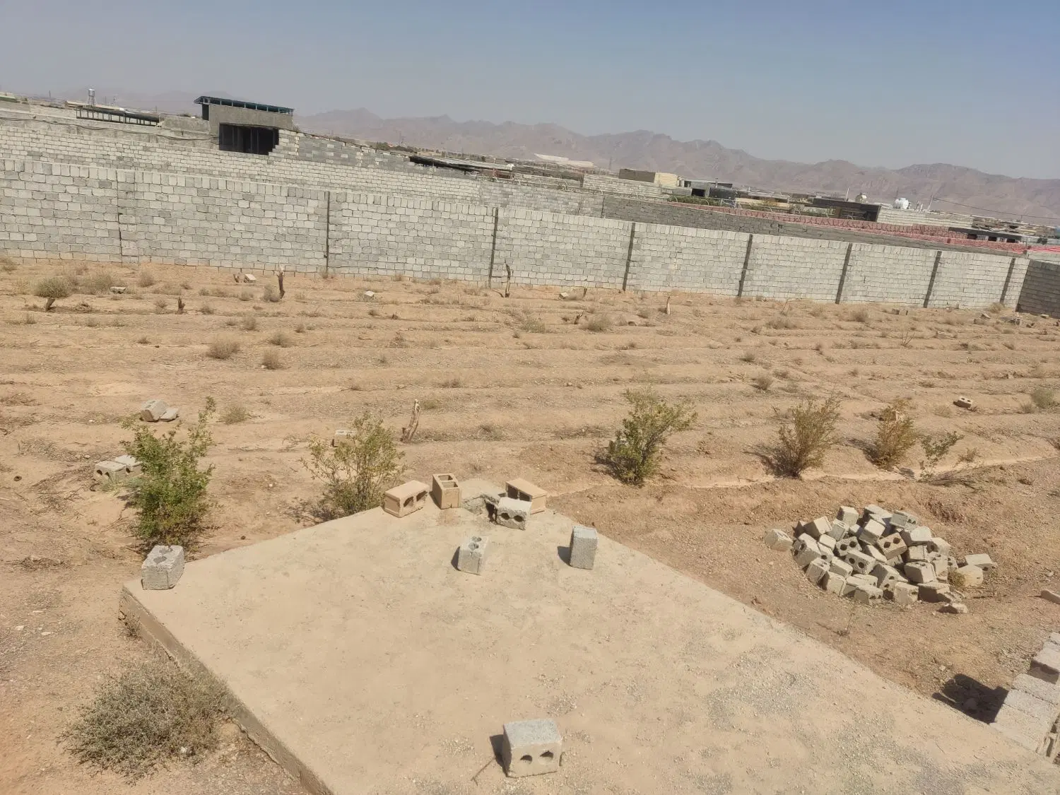 زمین باغی