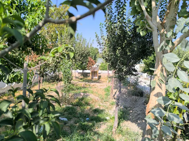 باغچه ۶۱۶ متری داخل مجموعه