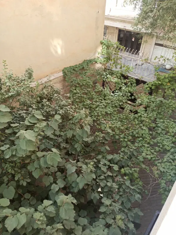 اجاره آپارتمان