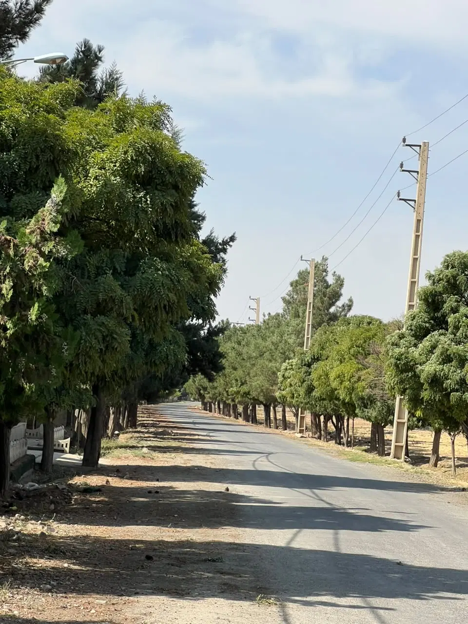 باغچه ویلا کردان سهیلیه زعفرانیه۸۰۰متری سند دار