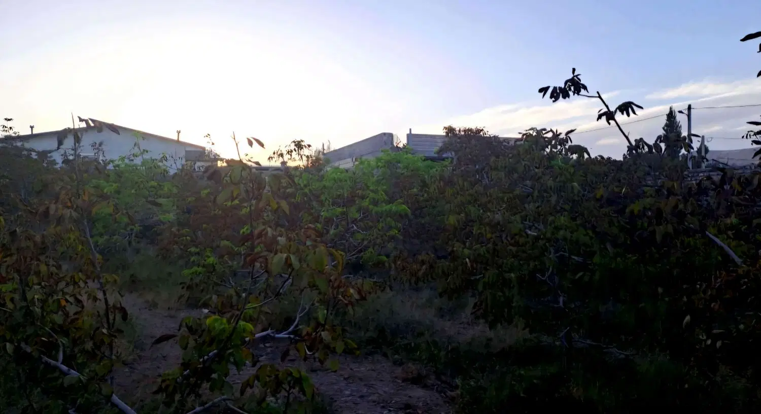 فروش یک قطعه زمین خانه باغ در روستای افتر