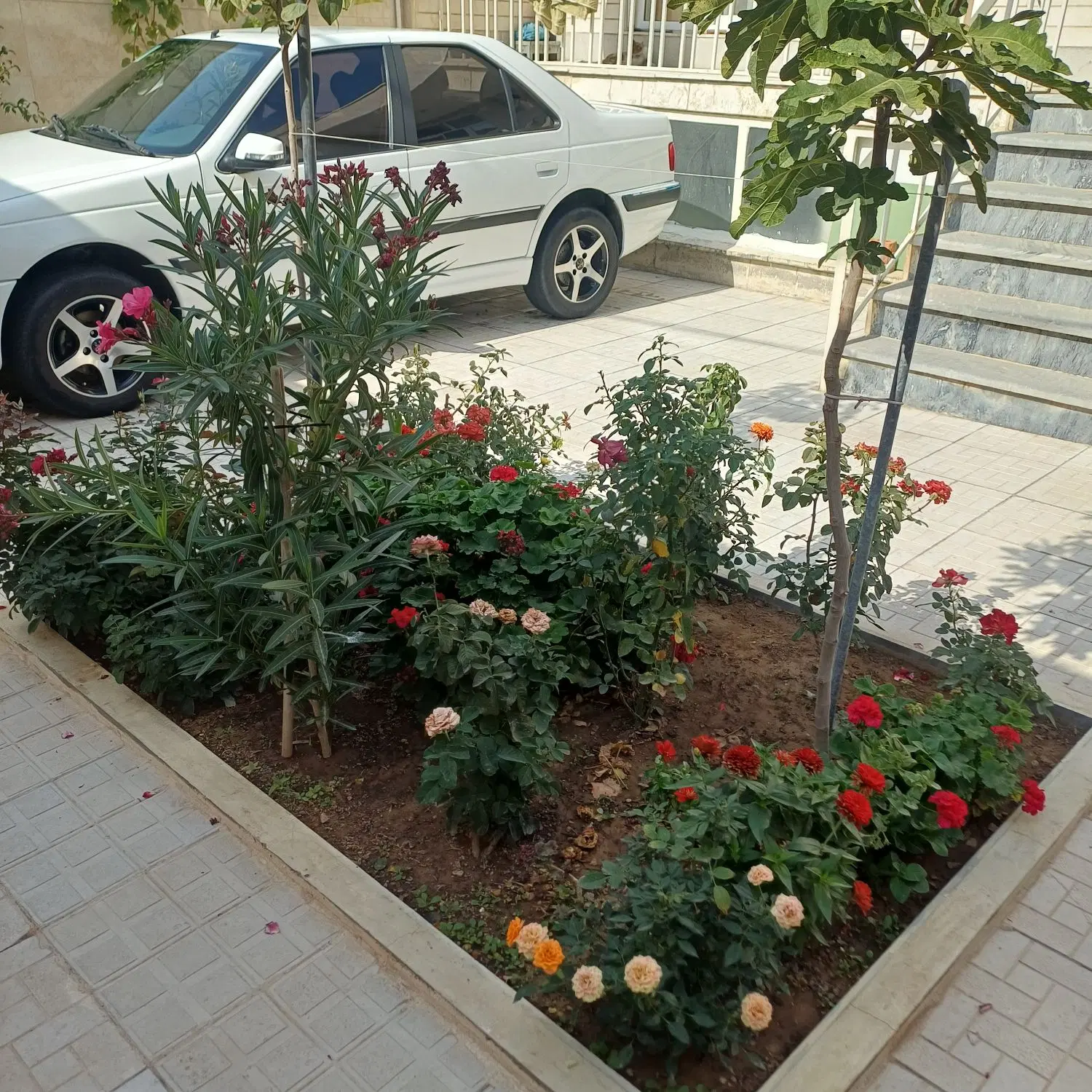 معاوضه حیاط ۲۳۰متر با ۲واحد آپارتمان