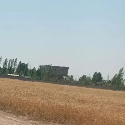 فروش زمین  زراعی سفیدان عتیق