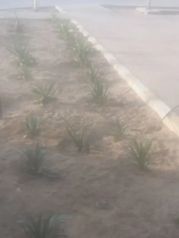 زمین مسکونی گورک