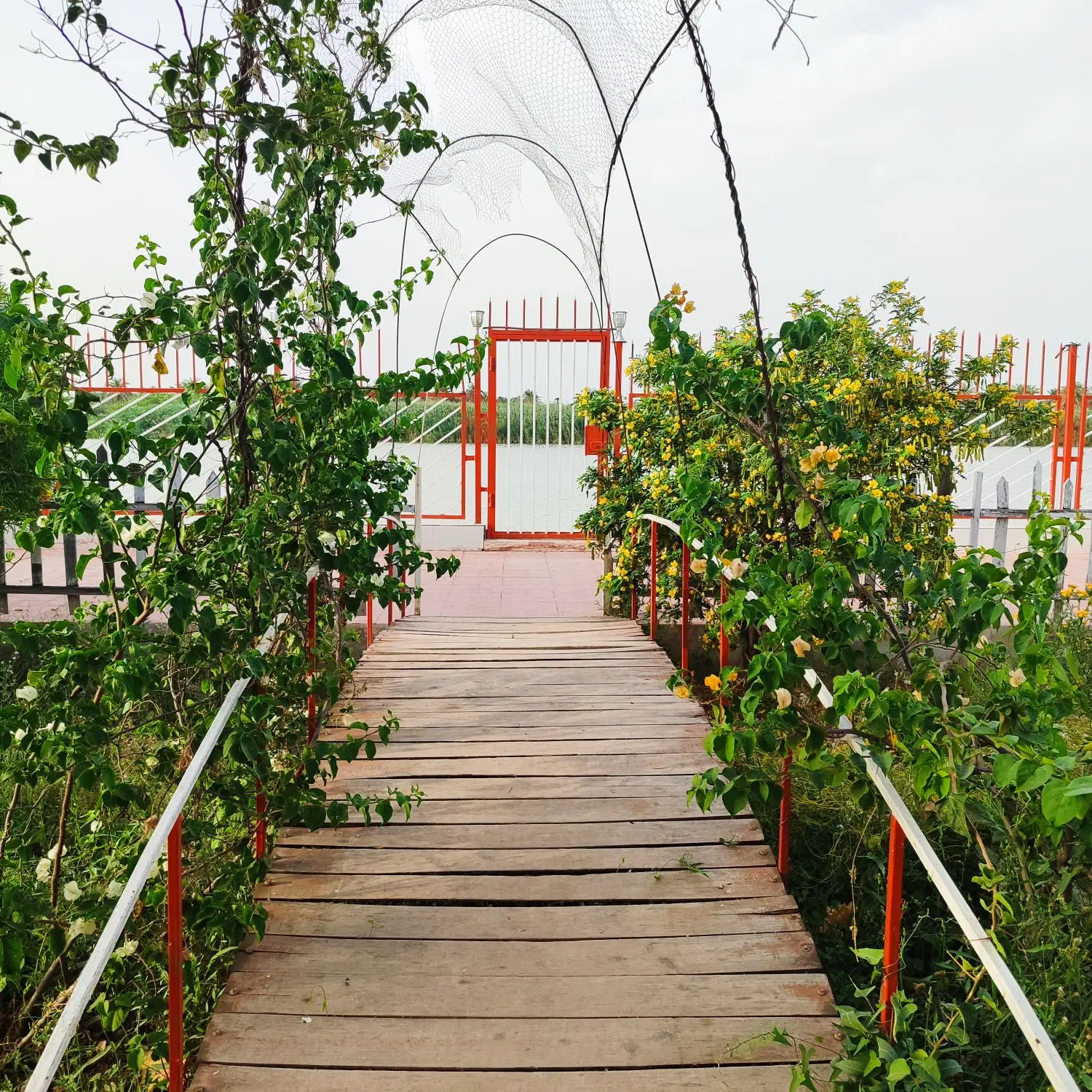 اجاره باغ ویلا
