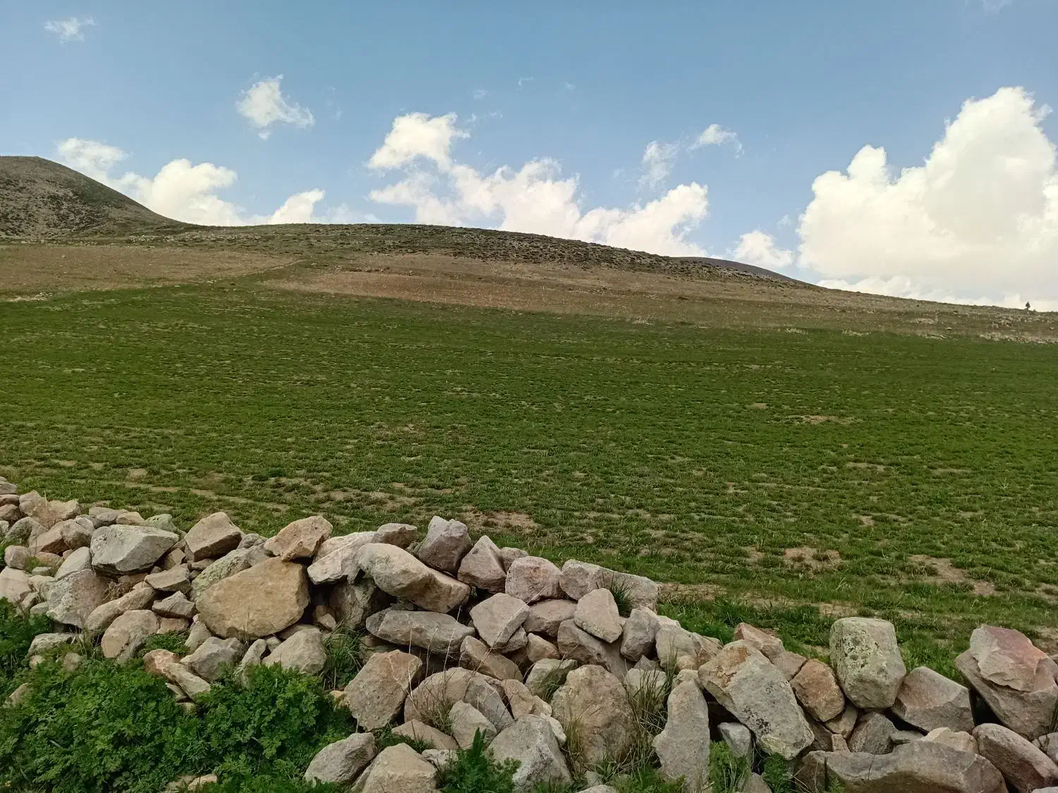 ۶۰۰۰ متر زمین  مرند