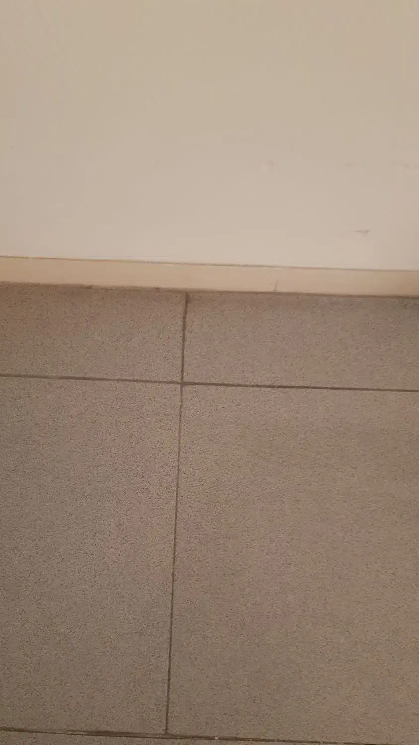 رهن و اجاره یک باب مغازه