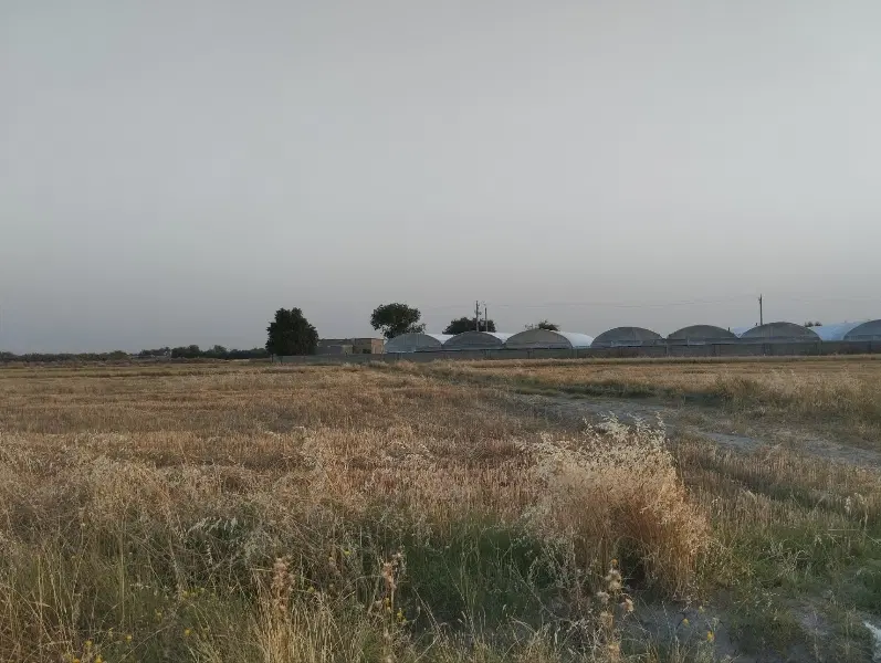 ۱۰۰۰ متر زمین مناسب گلخانه و باغ