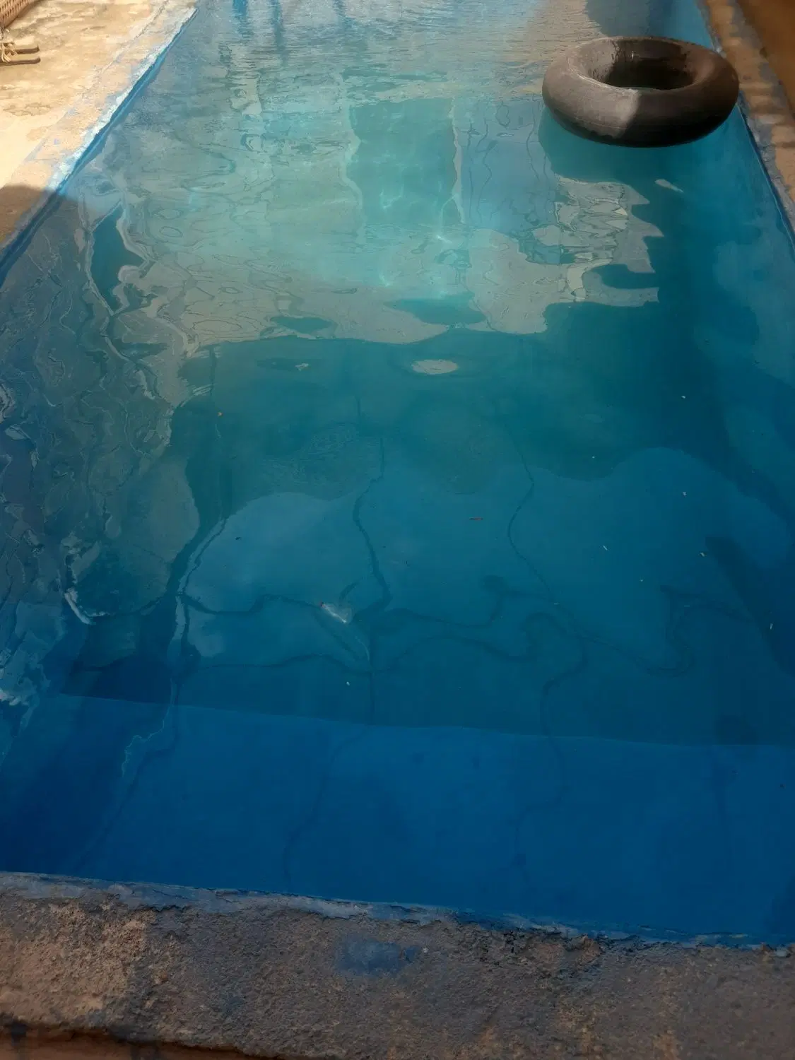 همخونه