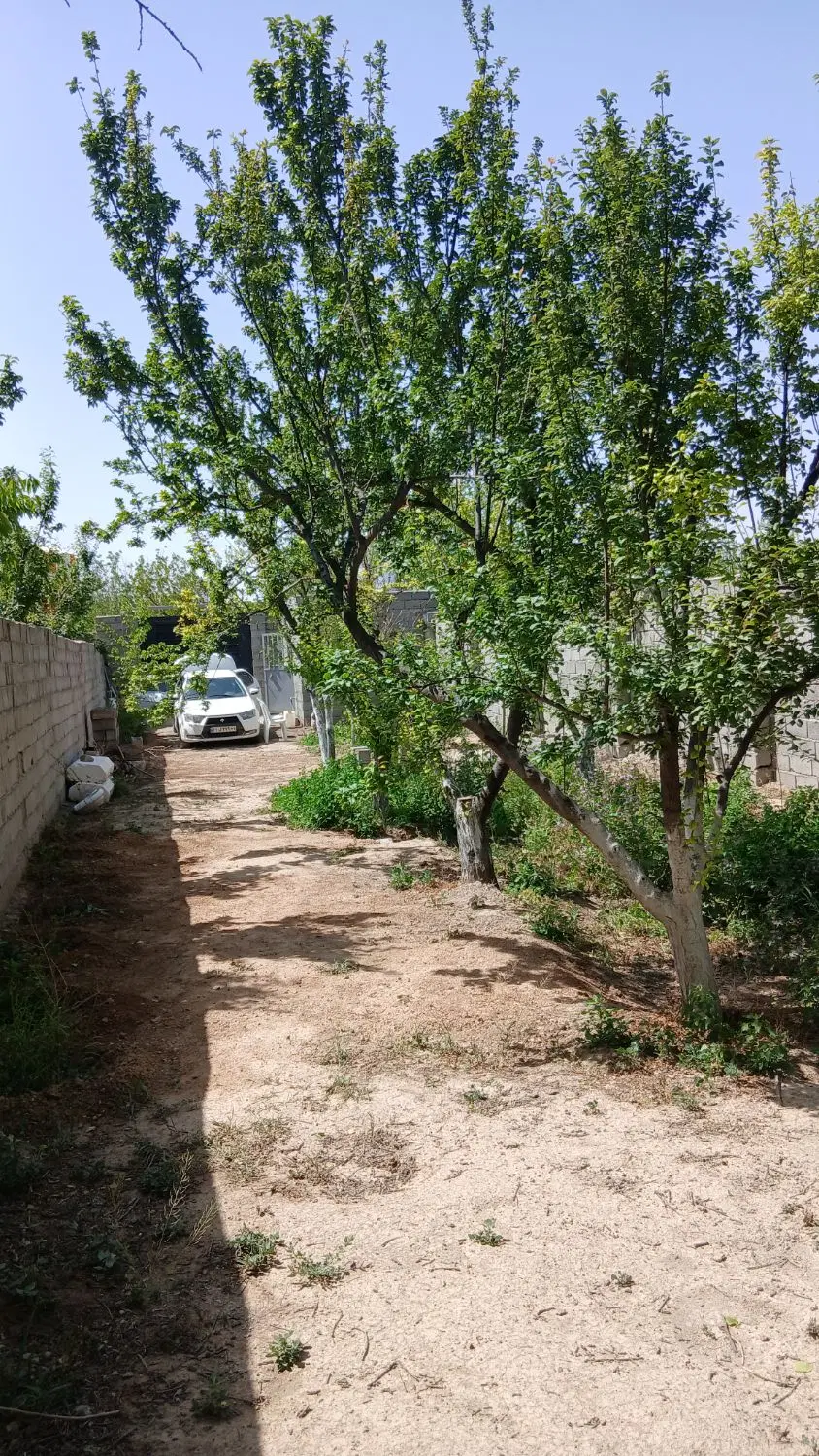 باغچه سند تک برگ باغدشت شهریار