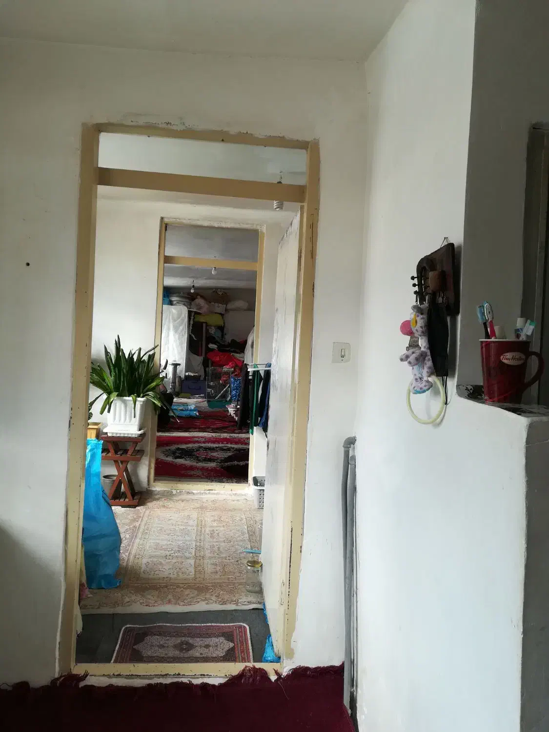 یک باب حیاط آپارتمانی