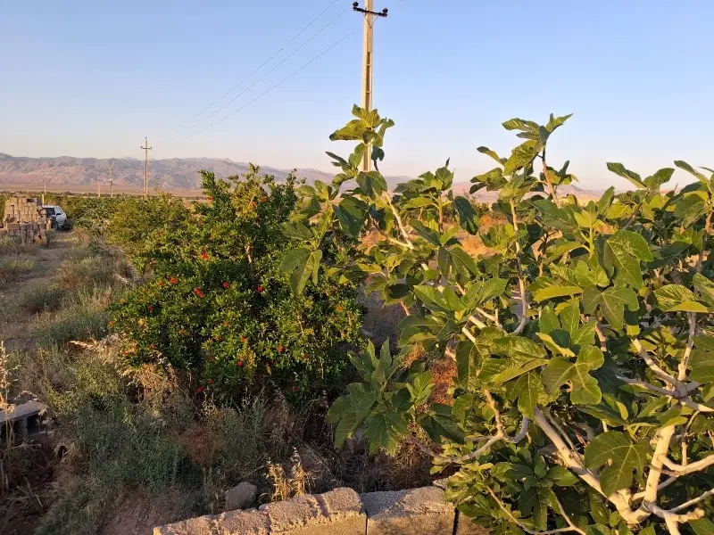 سرمایه‌گذاری باغ ویلا باغچه