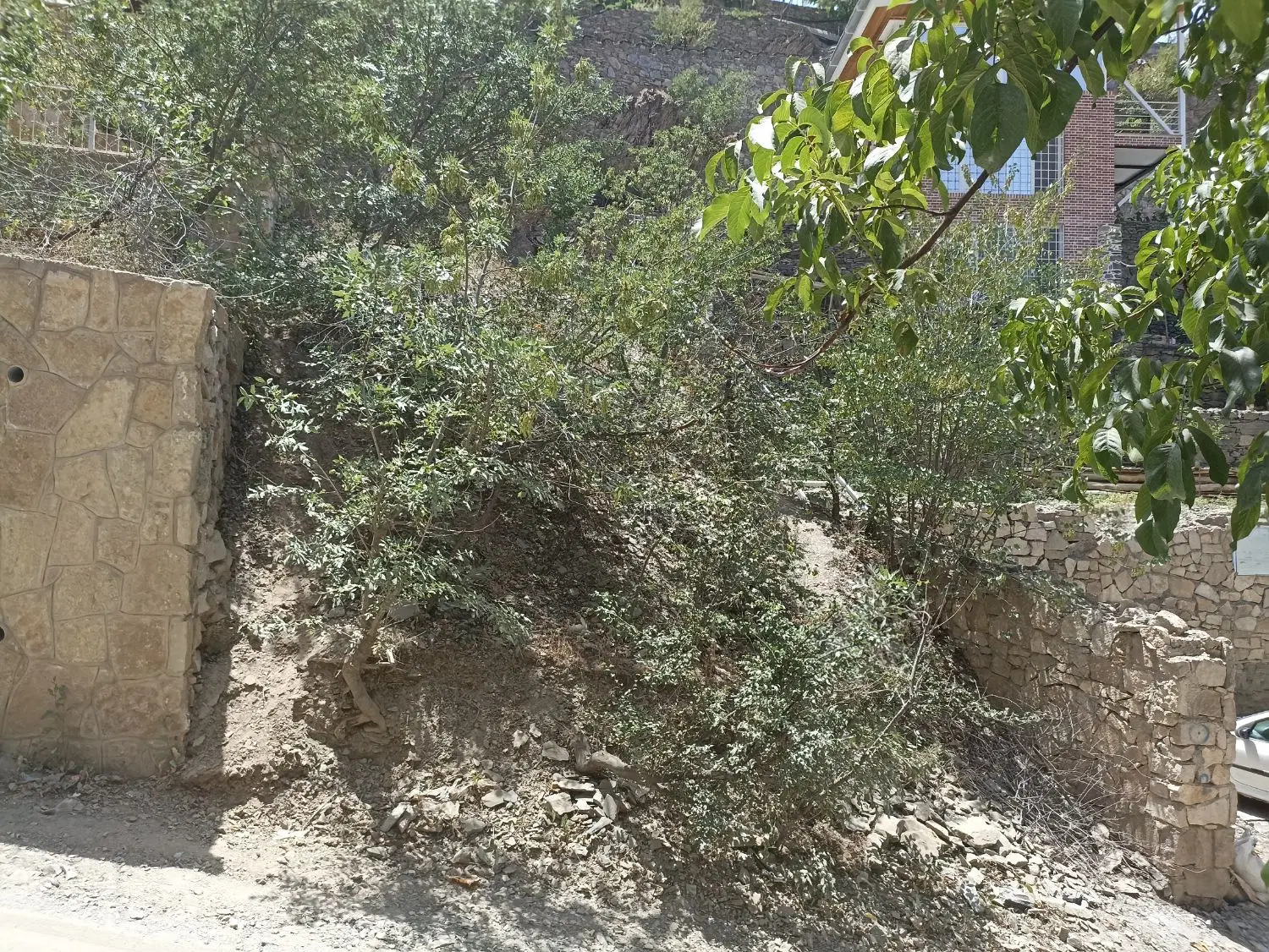 زمین ییلاقی