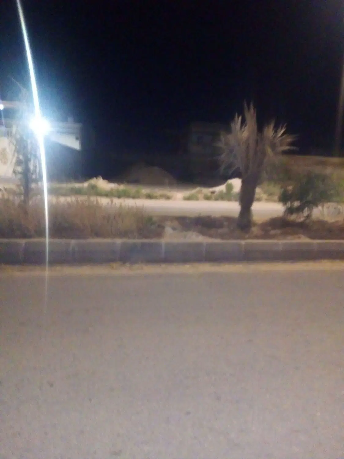 زمین مسکونی