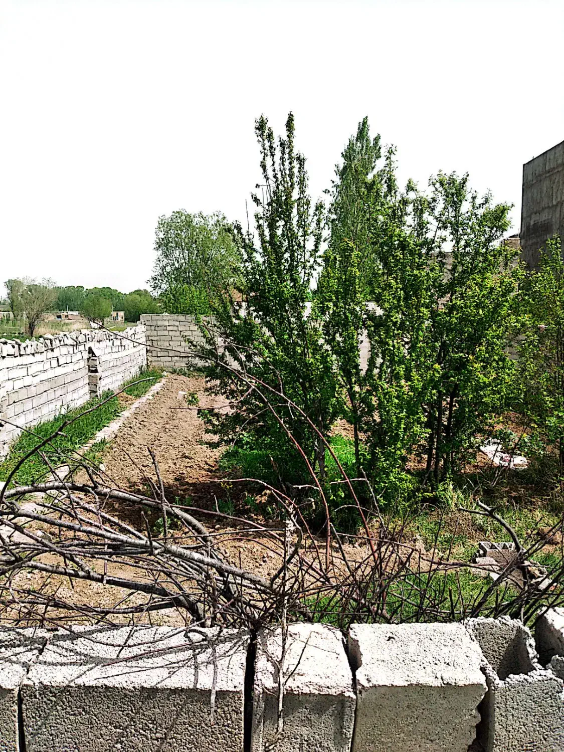 فروش زمین