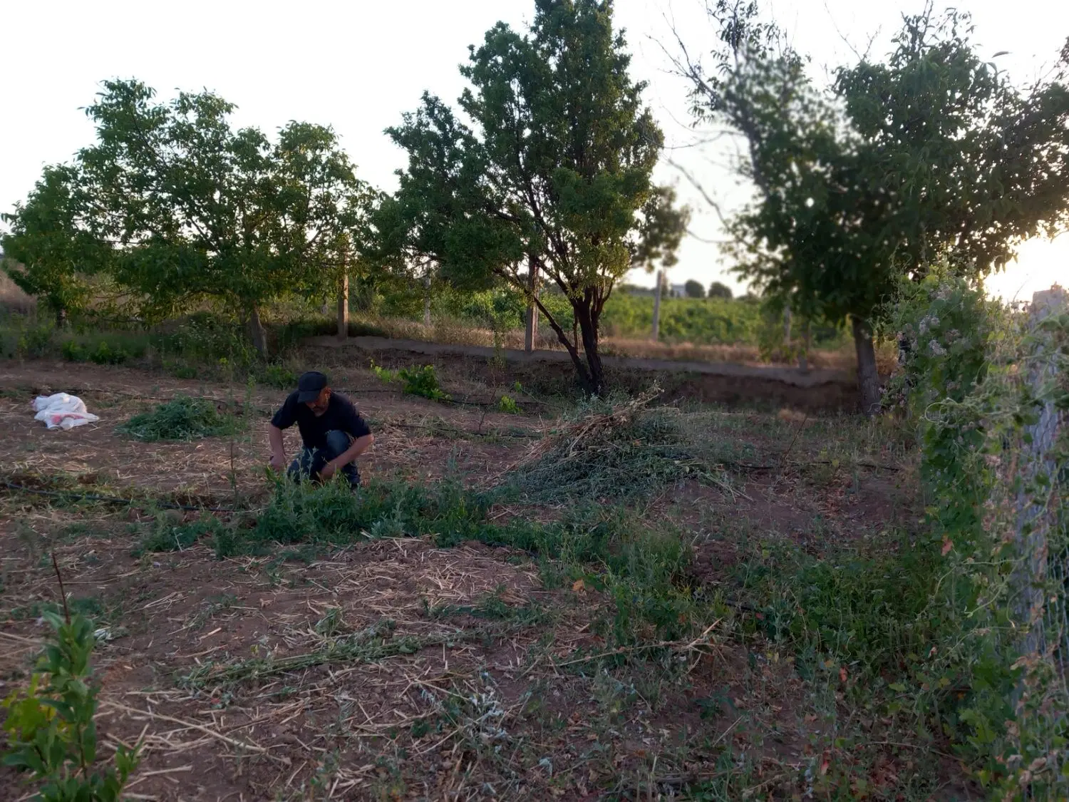 سند برای ازادی زندانی