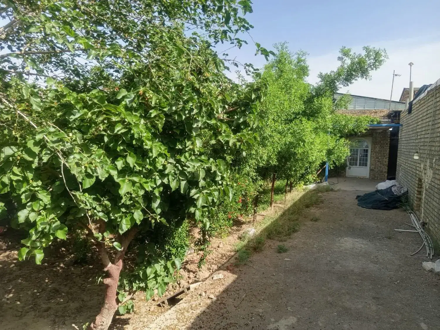 خونه باغ فروشی