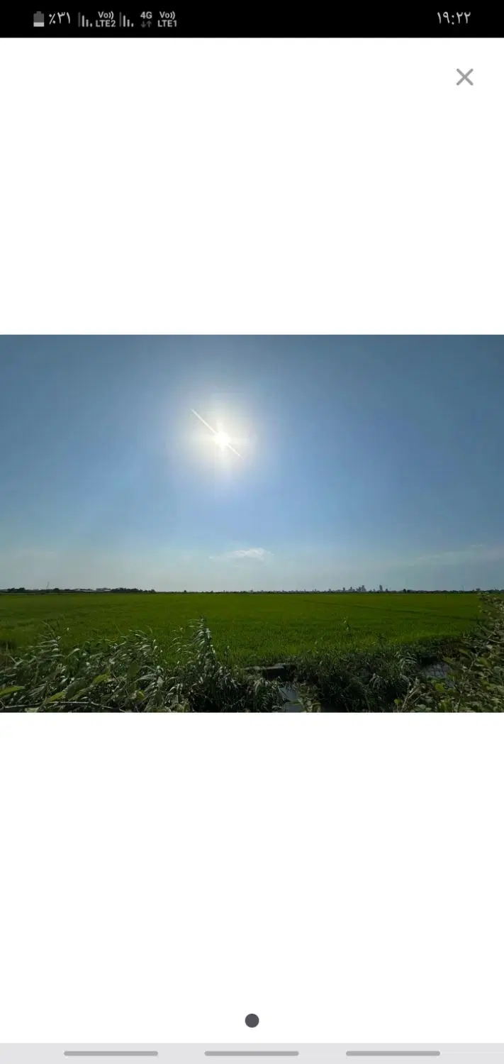 زمین کشاورزی شالیزار