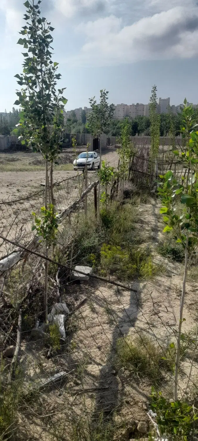 زمین ملاباشی کارشناسان