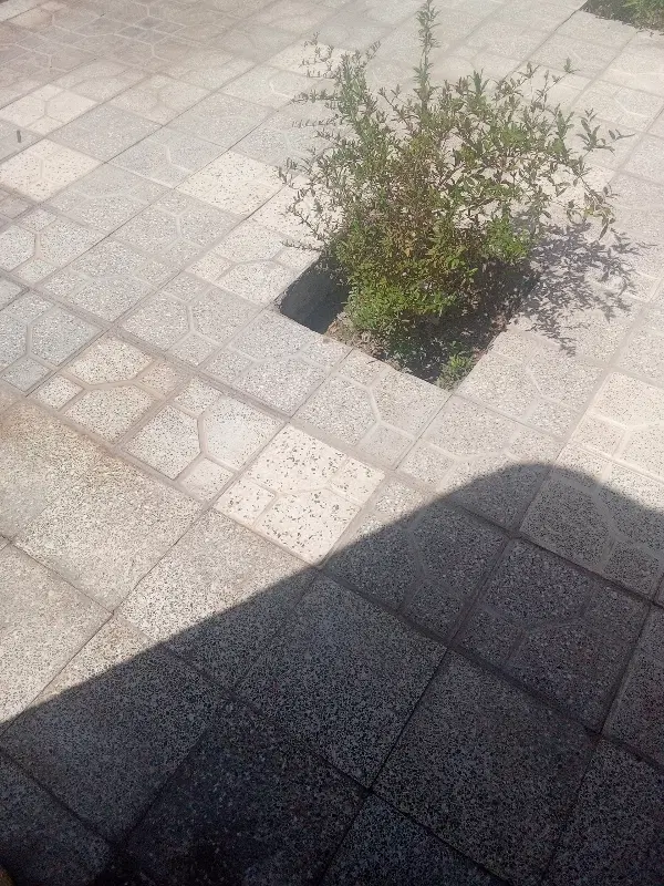 زمین کشاورزی جنت اباد جاده ااماده علی