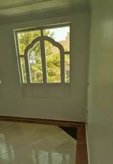 تک واحدی خوش نقشه وپرنور