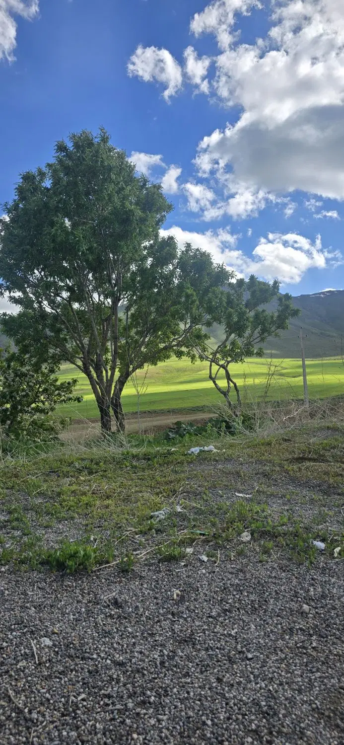زمین ویلایی