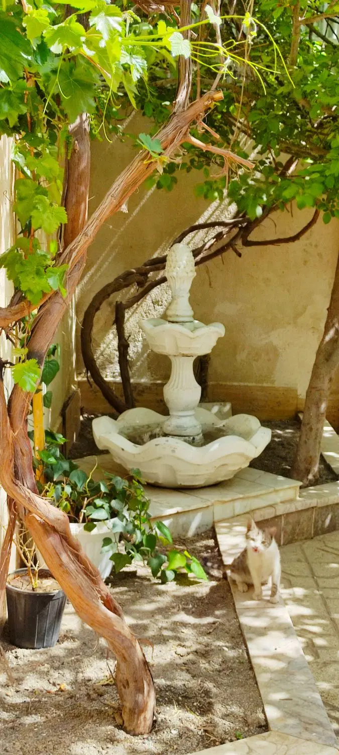 منزل ویلایی حیاط دارشمالی دربست