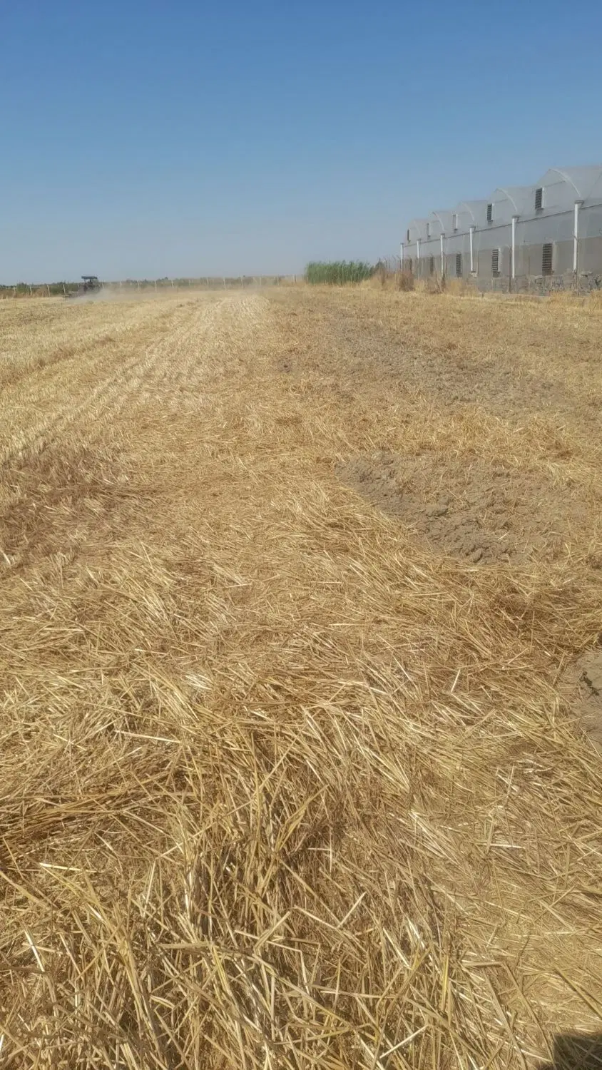 فروش زمین کشاورزی