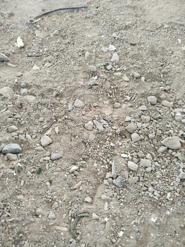 زمین مسکونی در روستایی ارکان