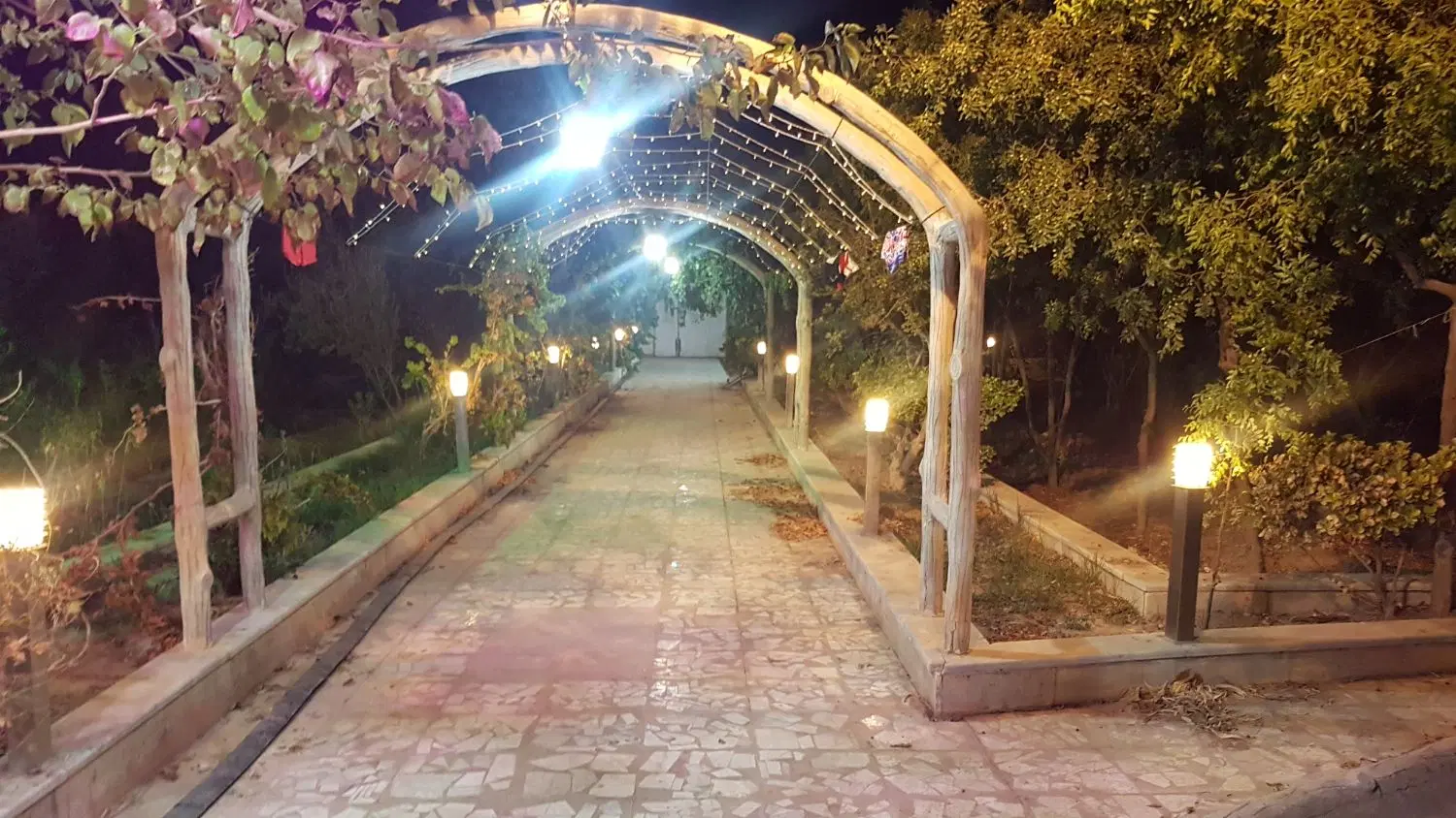 باغ 2000 متری داخل مجموعه