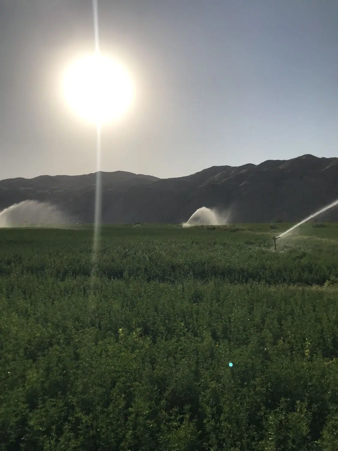 فروش زمین کشاورزی روستای خیراباد
