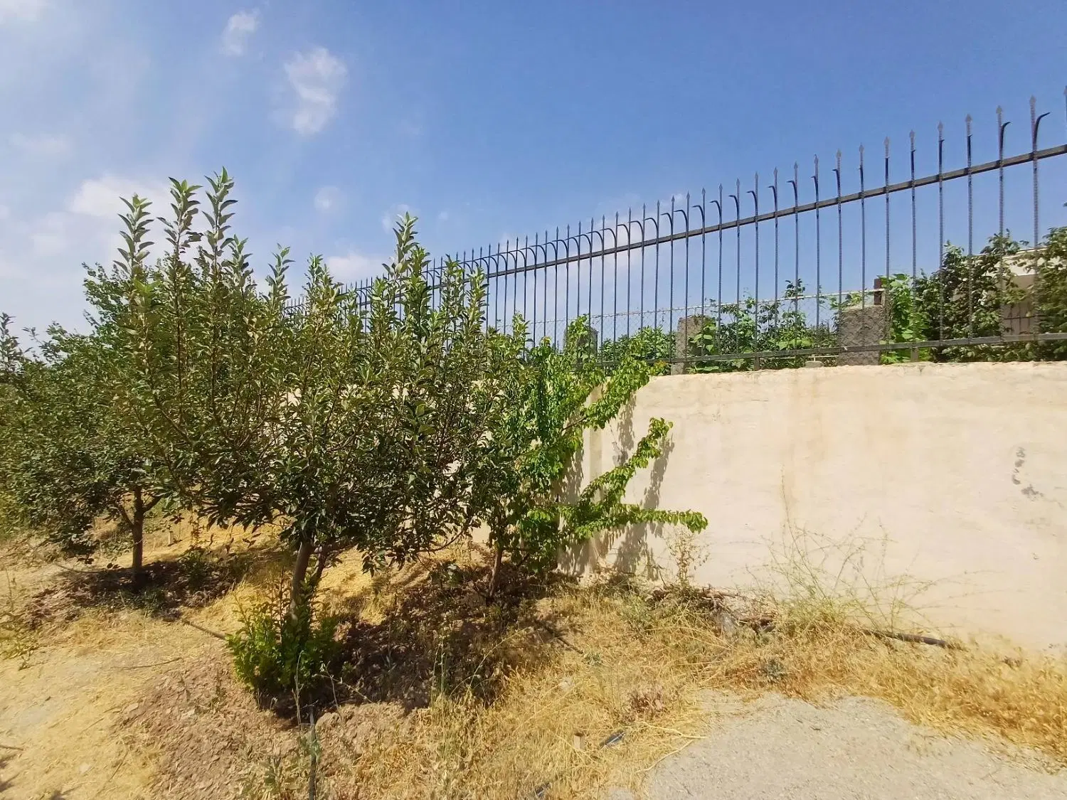 زمین ویلایی
