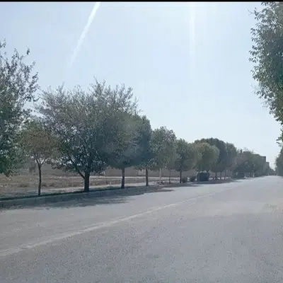 زمین بر خیابان خدادادامینی