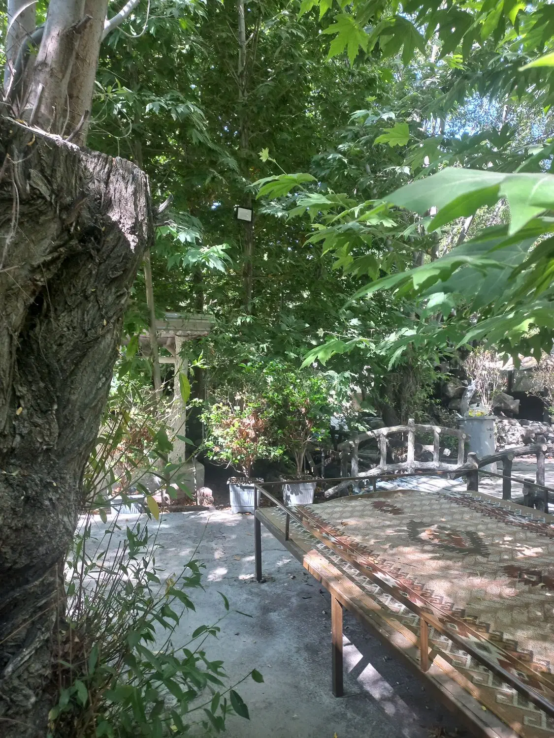 خونه فرو شی         پرده فروشی