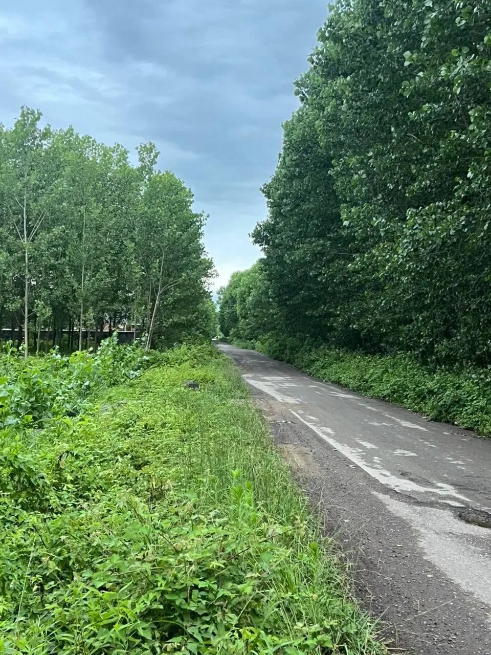 ۴۳۸مترزمین مسکونی روستای برآسفالت_زیر قیمت