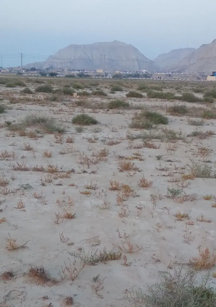 فروش زمین طولا ۱۲۰متری