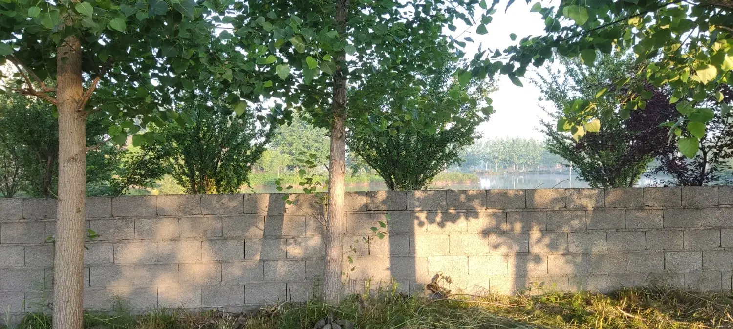 فروش زمین باغی در حومه رشت