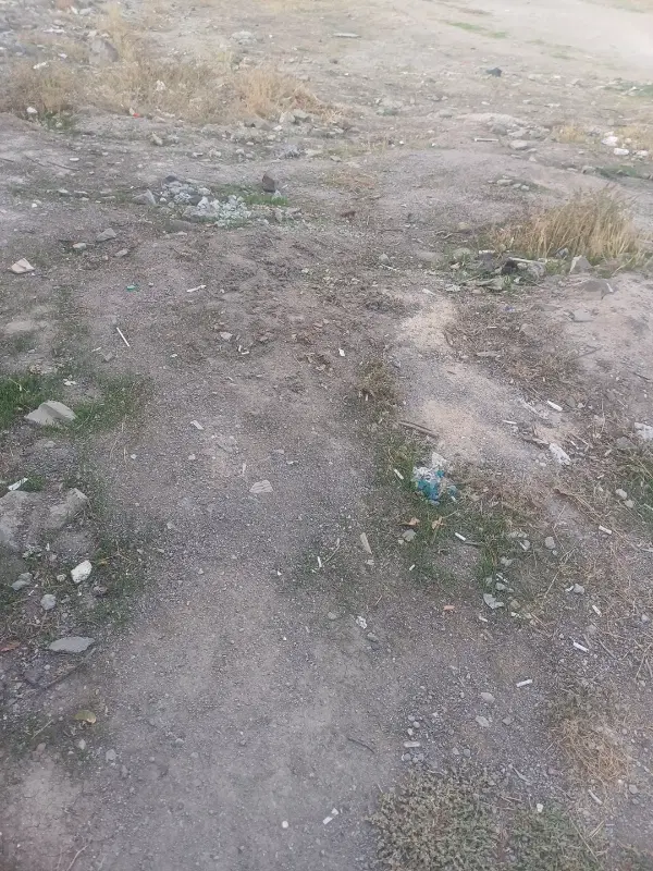 زمین مزروعی نوران اسکی شهر
