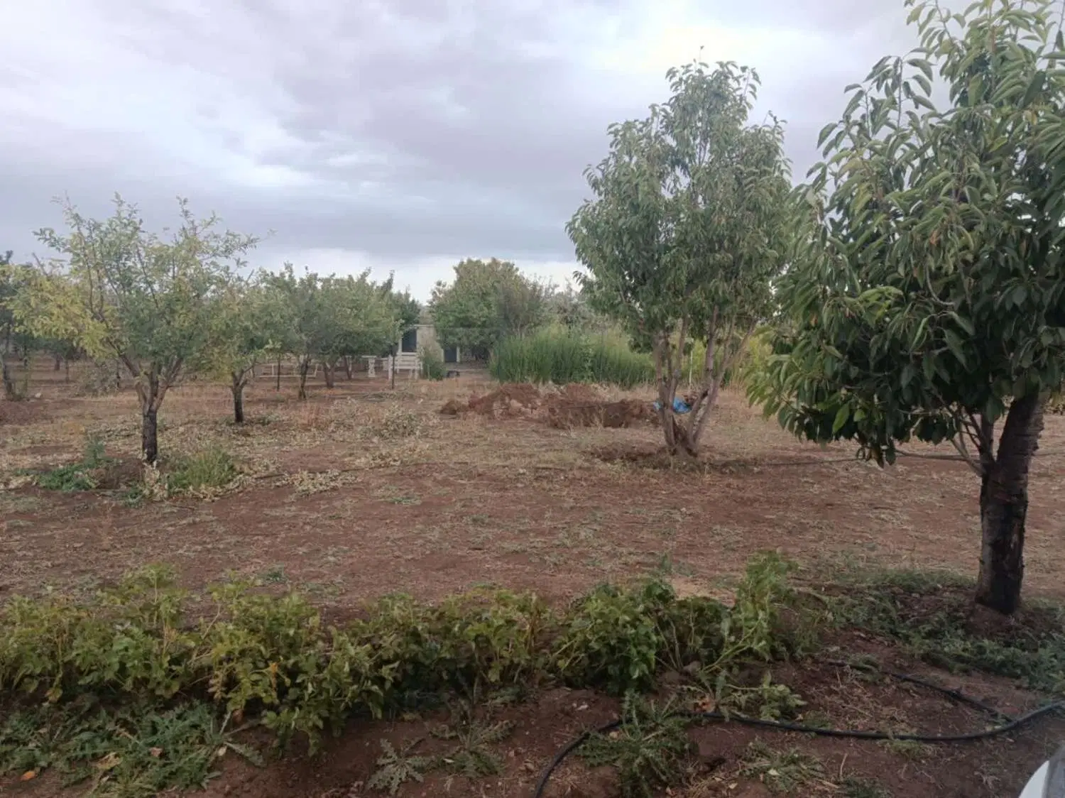 باغشهر ساوالان زنجان