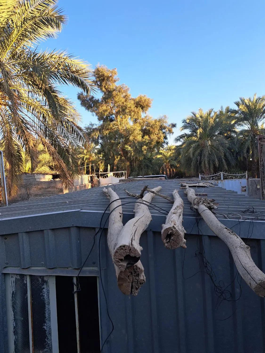 کانکس فروشی