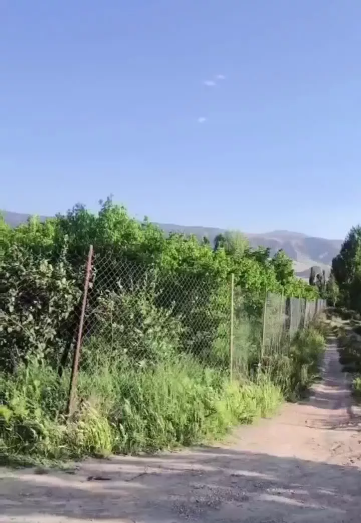 باغ در شاهلیخ مرند- استخر بزرگ با خونه باغ
