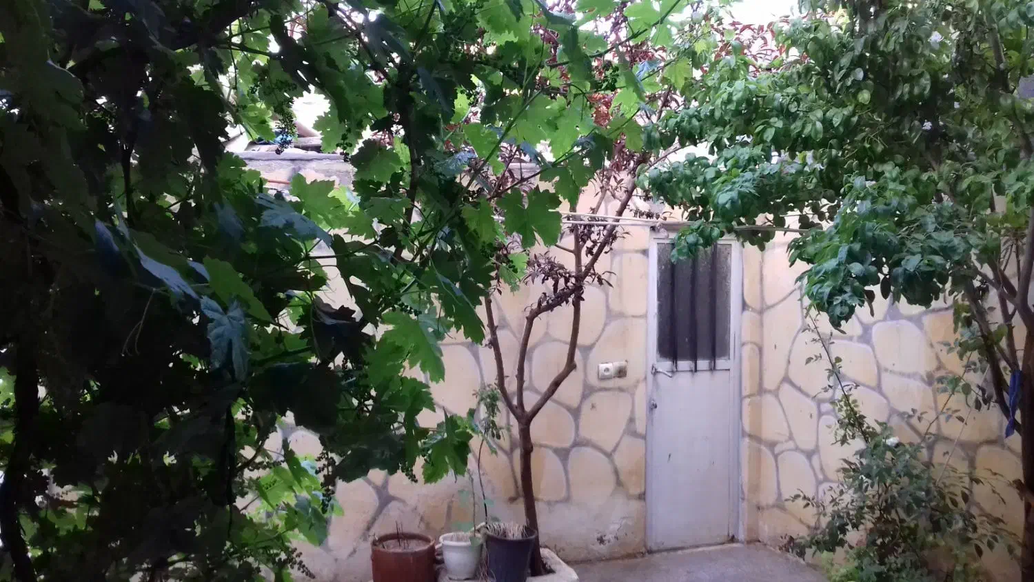 ویلایی دربست ۱۲۰مترشاهنامه۴۱ تخلیست