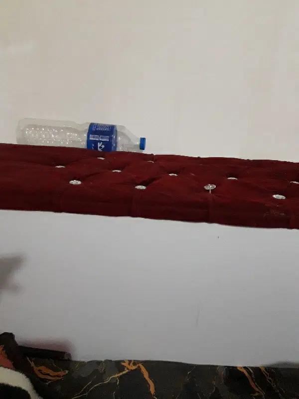 همخونه خانم