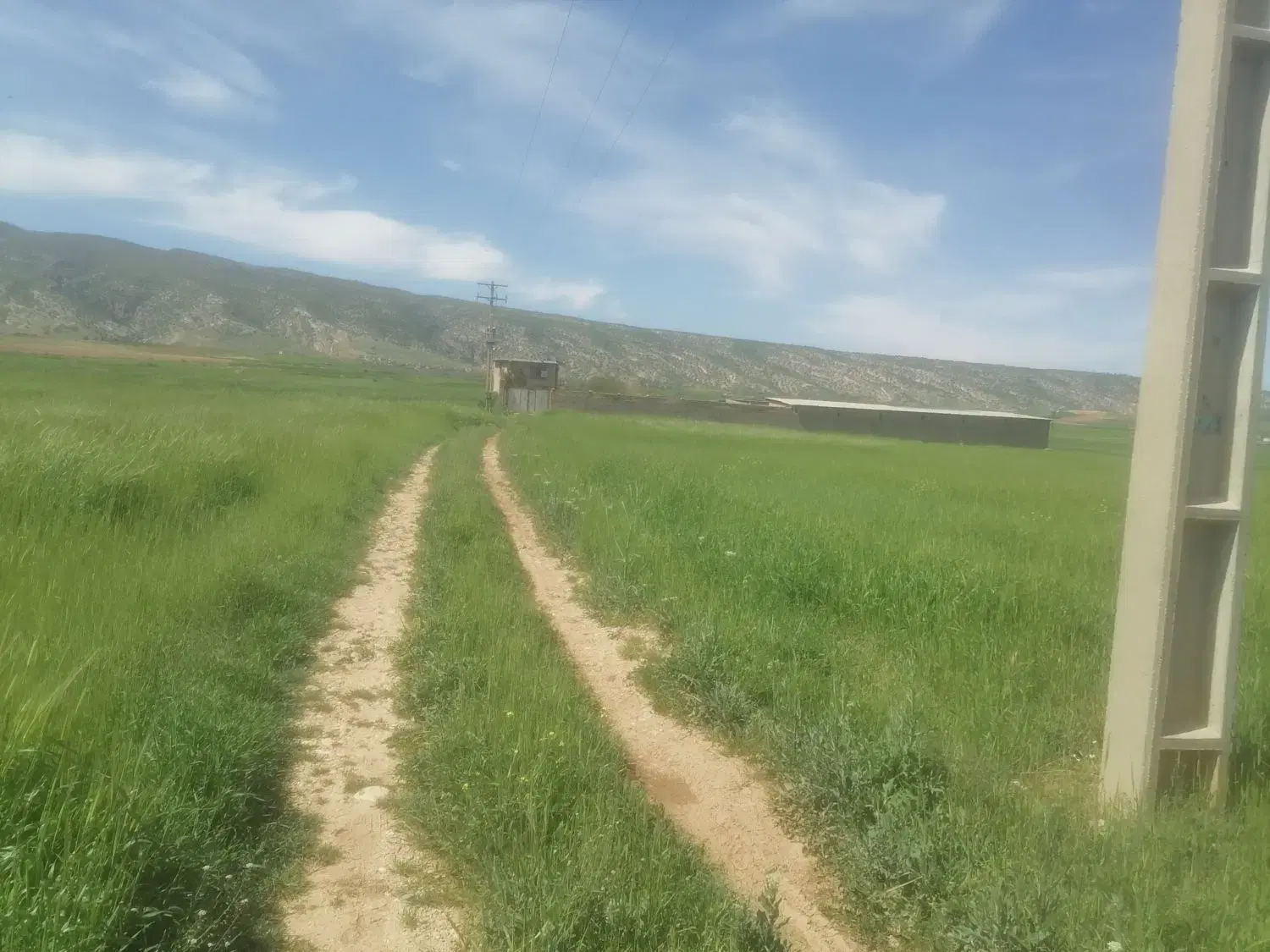 گاوداری 75راسی سند تک برگ اجاره و فروشی