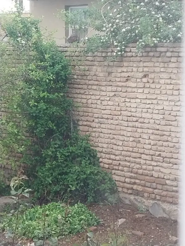 ملک ویلایی در روستای حسن باروق