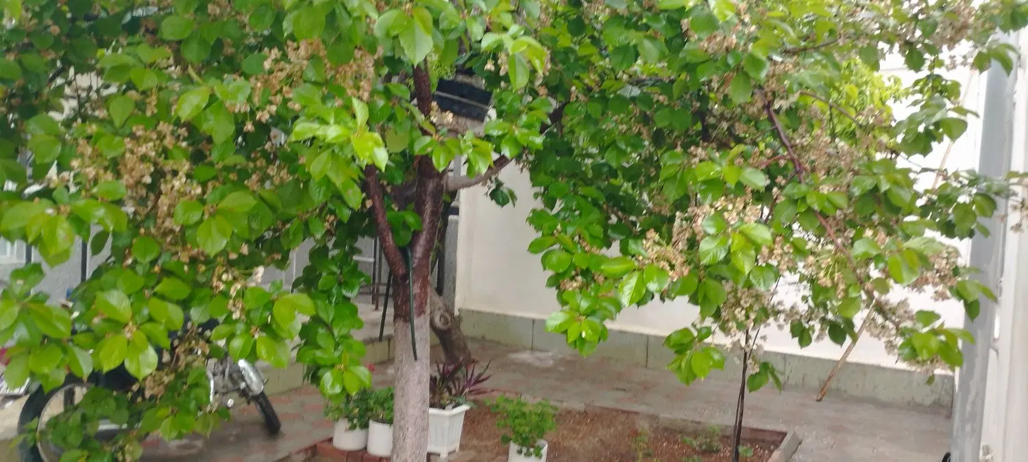 فروش منزل
