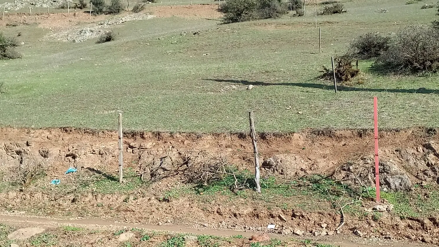 زمین کشاورزی